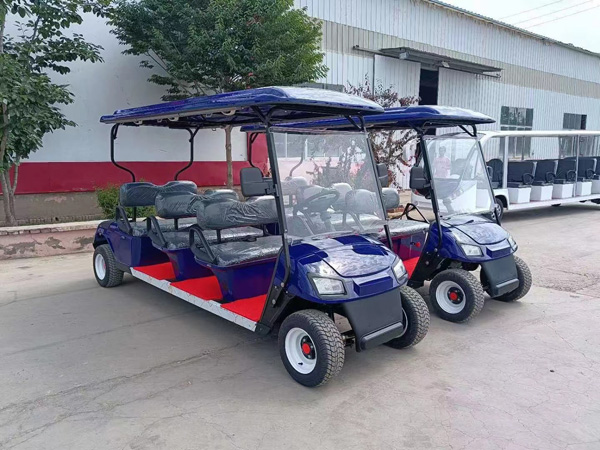 電動(dòng)觀(guān)光高爾夫球車(chē)