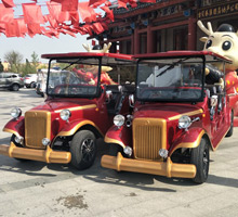 電動(dòng)車(chē)采購(gòu)案例