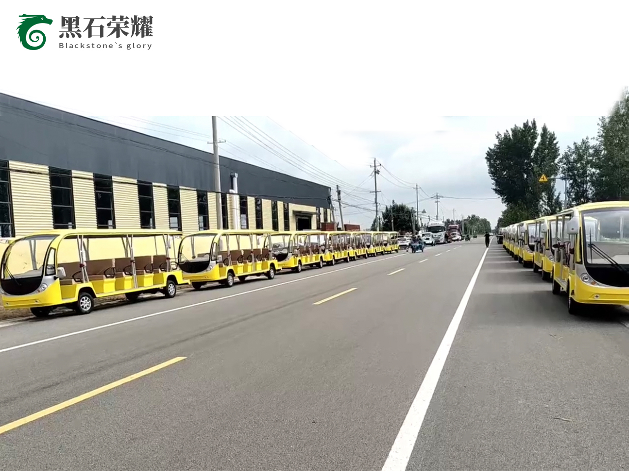 電動觀光車景區(qū)用系列