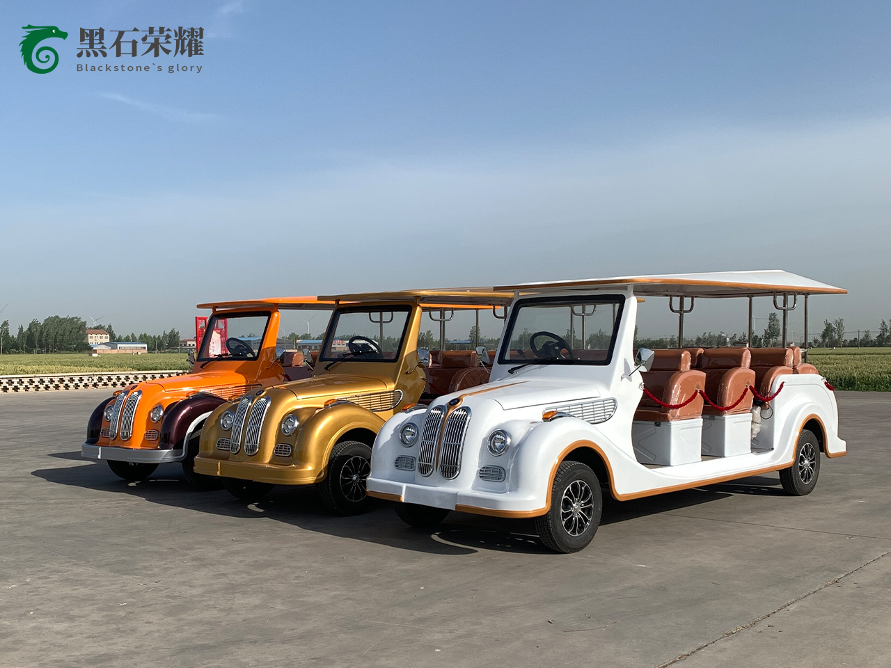 電動(dòng)觀光車?yán)蠣斳囅盗?></a></i><div   id=