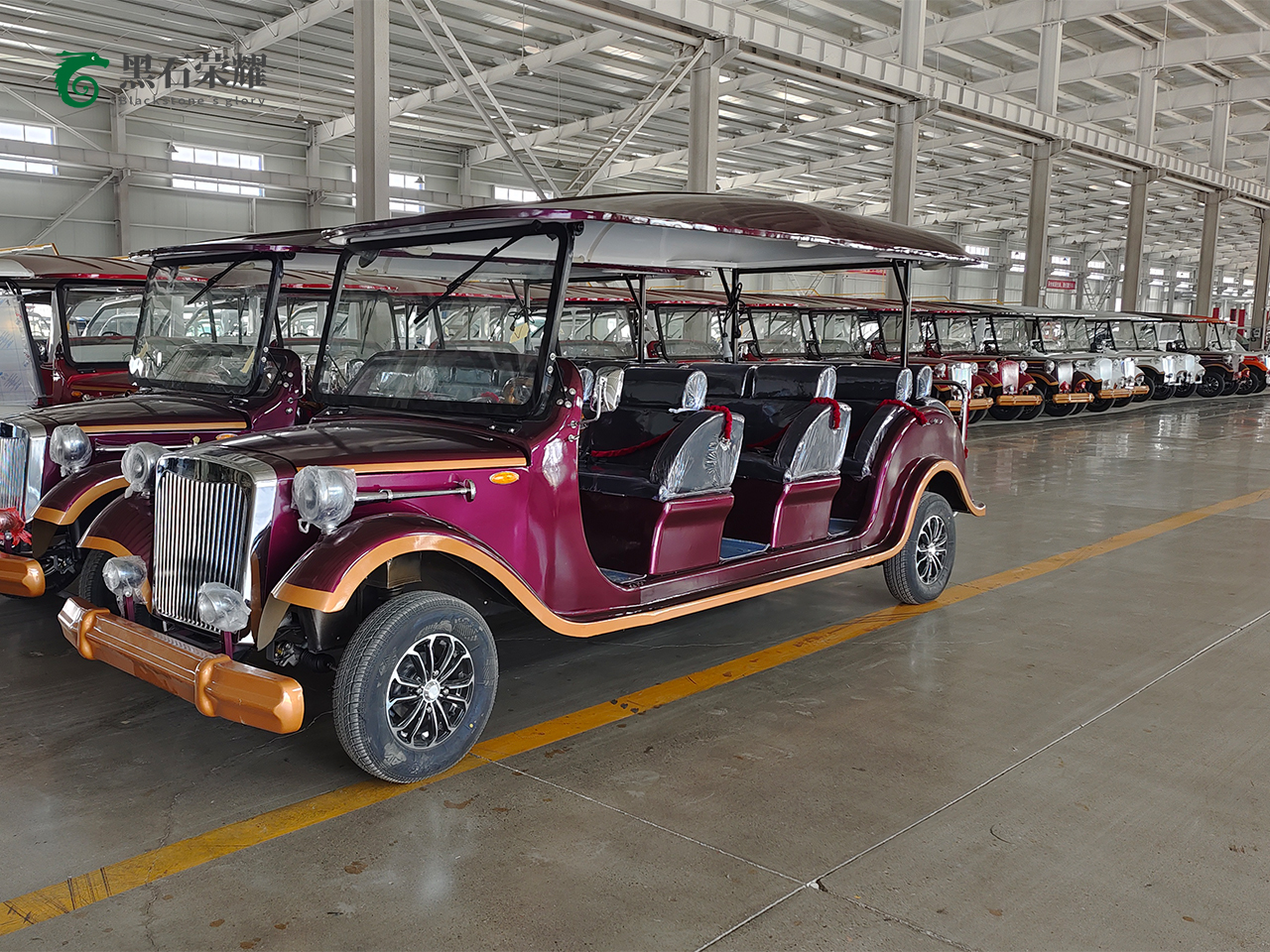 電動(dòng)觀光車?yán)蠣斳囅盗?></a></i><div   id=