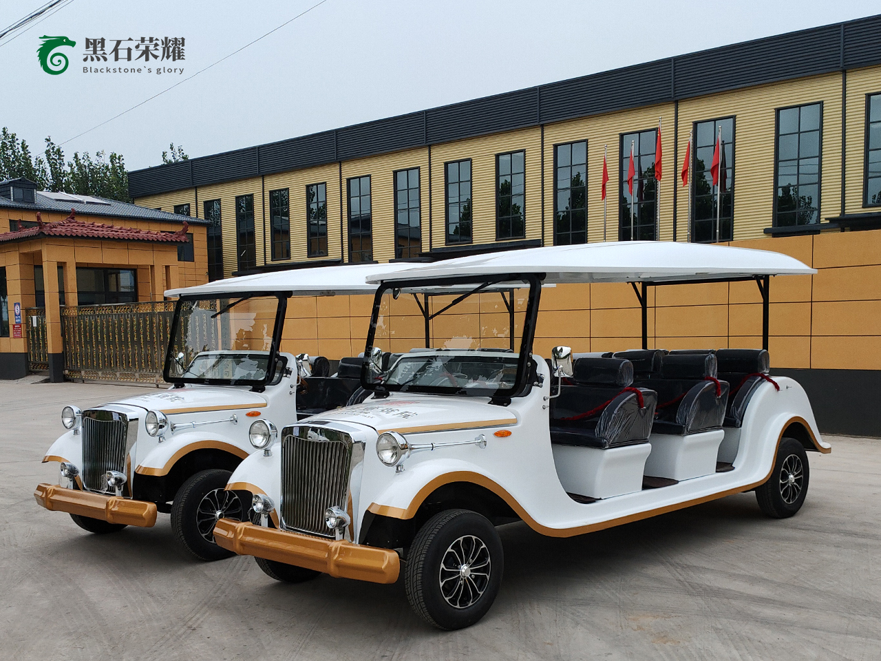 電動(dòng)觀光車?yán)蠣斳囅盗?></a></i><div   id=