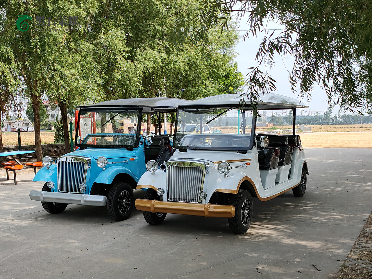 電動(dòng)觀光車?yán)蠣斳囅盗?></a></i><div   id=