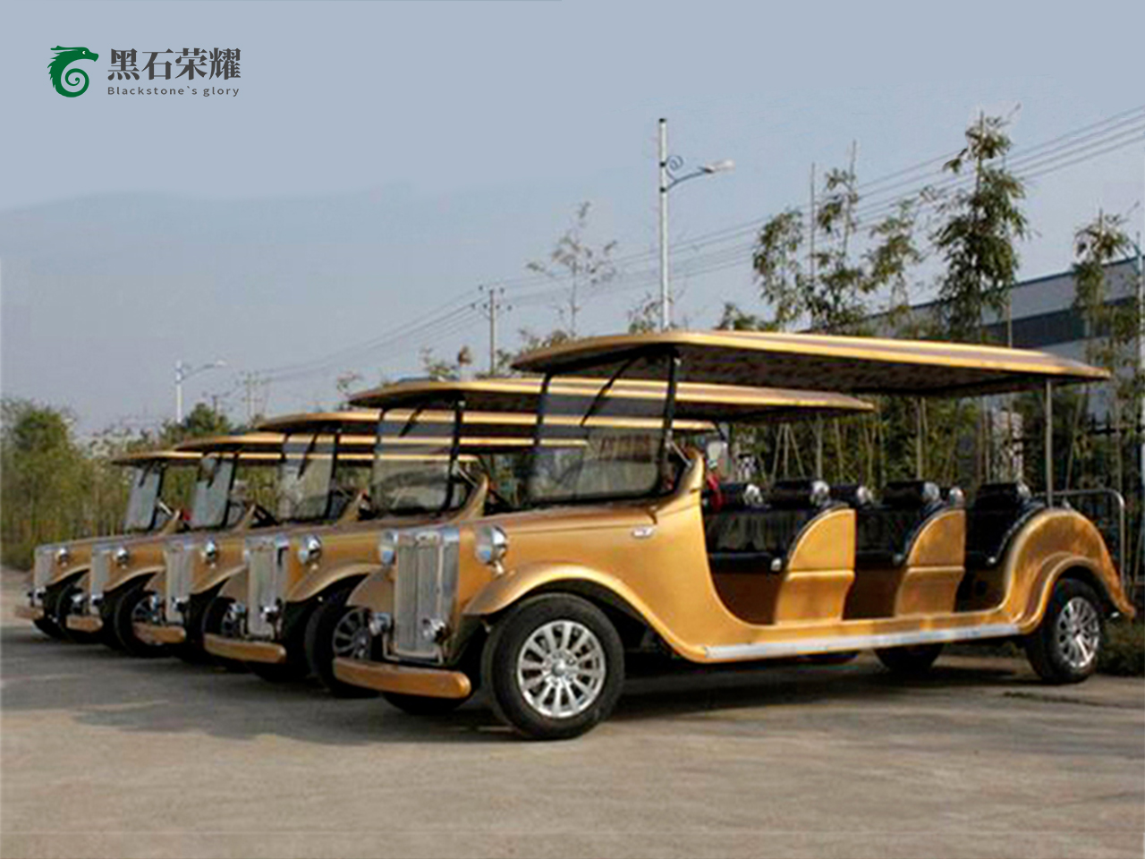 電動(dòng)觀光車?yán)蠣斳囅盗?></a></i><div   id=