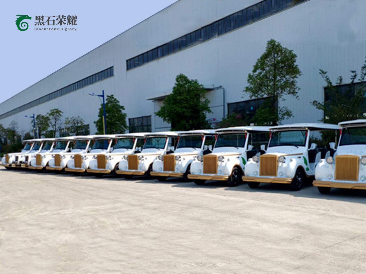 電動(dòng)觀光車?yán)蠣斳囅盗?></a></i><div   id=