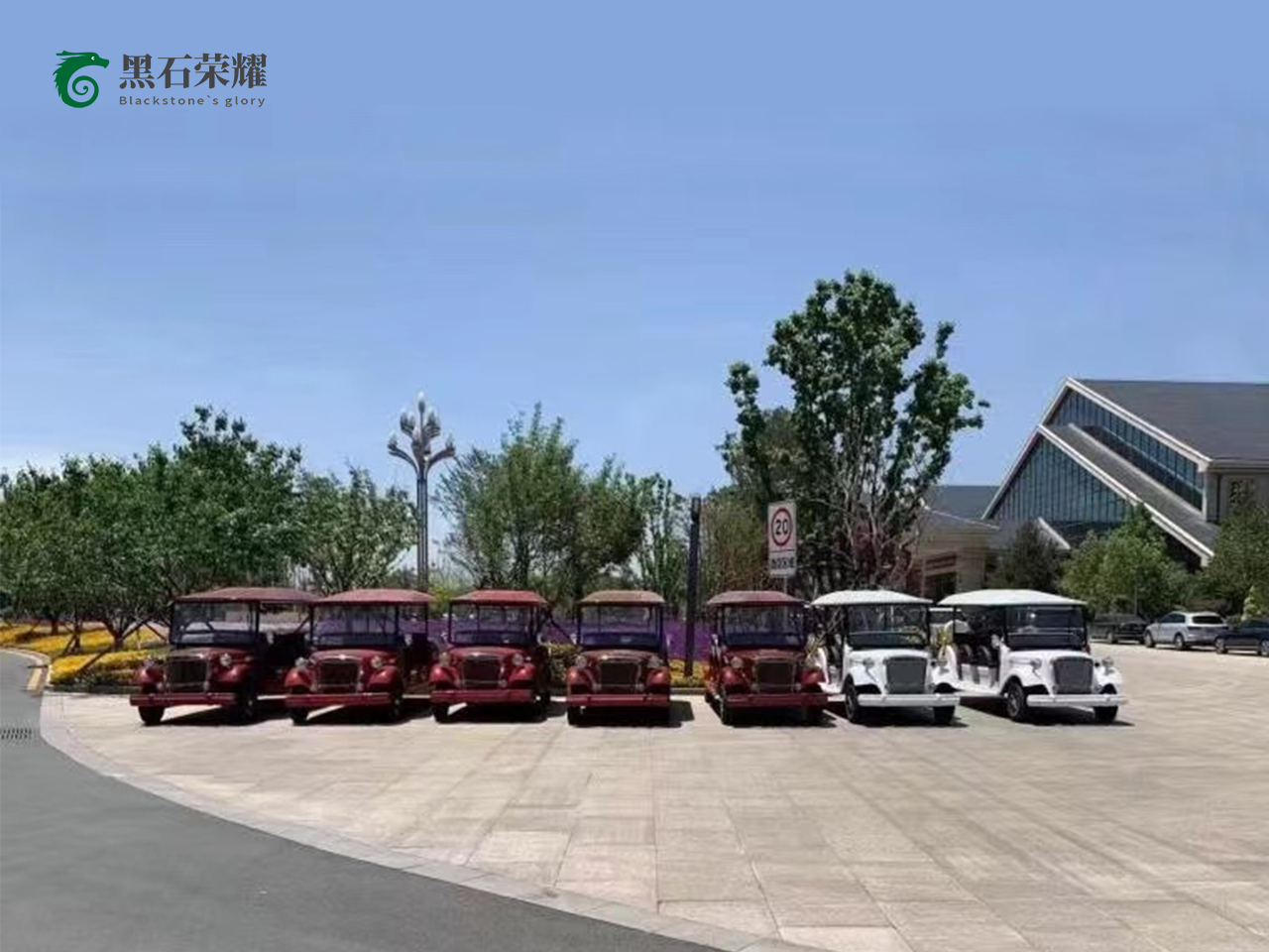電動(dòng)觀光車?yán)蠣斳囅盗?></a></i><div   id=