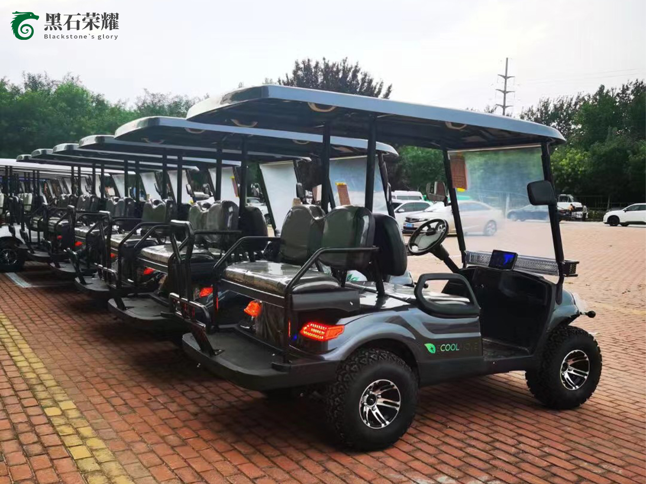 電動高爾夫球車