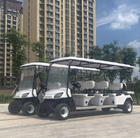 電瓶電動(dòng)巡邏車(chē)