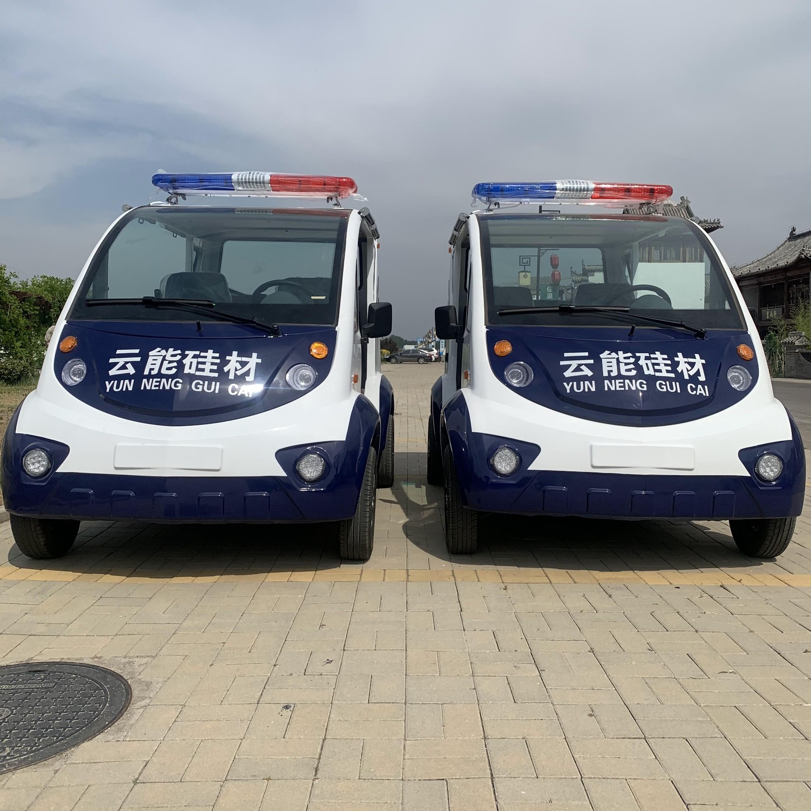 電動巡邏車的價格
